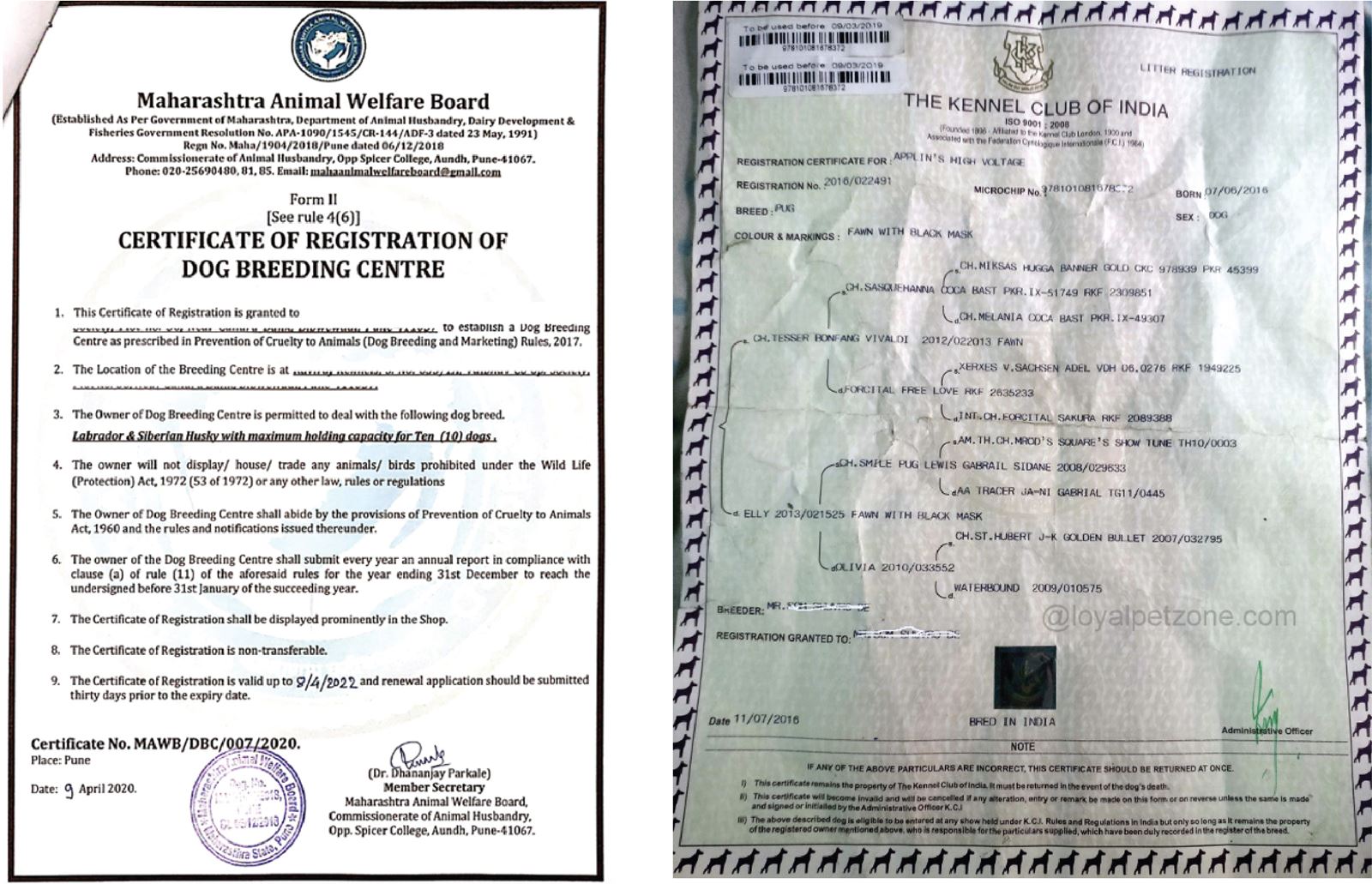 Welfare v/s Lineage: MAWB Certificate and KCI Certificate